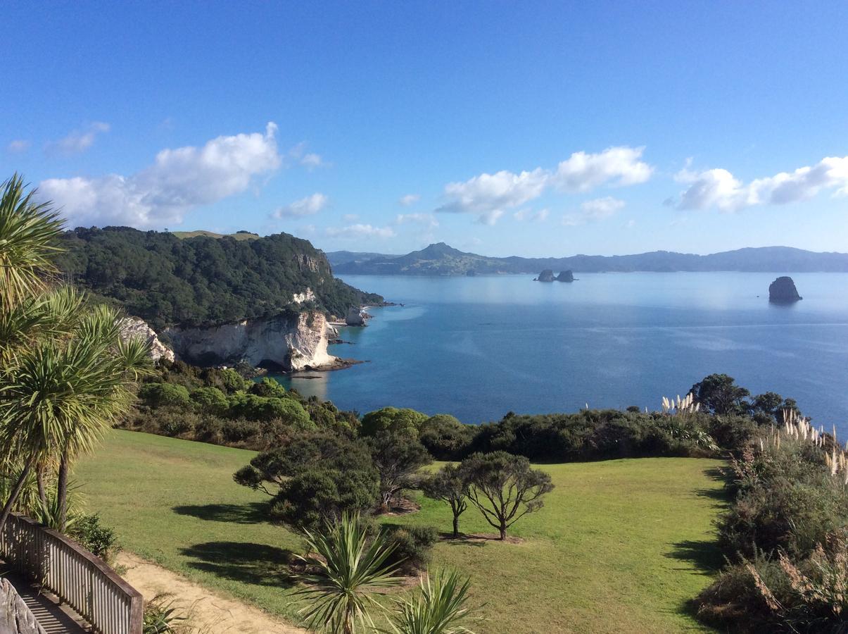 Albert Mews B And B Whitianga Luaran gambar
